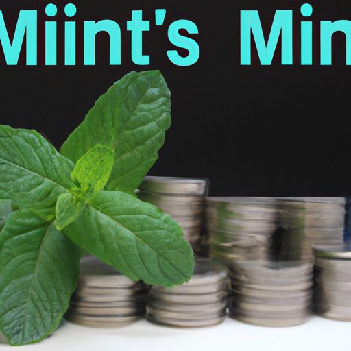 How Mint Improves Financial Security