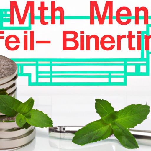 Examining the Safety of Mint Finance from a Financial Perspective
