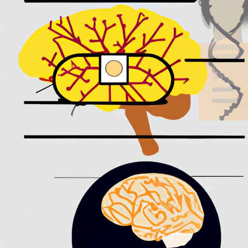 Examining the Role of Neuroscience in Biological Science