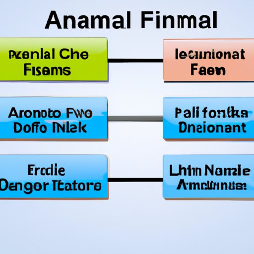 Comparing One Main Financial Account to Other Financial Options