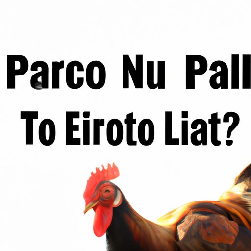 Common Misconceptions About the Paleo Diet