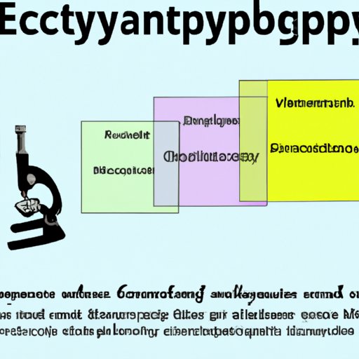 Evaluating the Use of Experimental Studies in Psychology