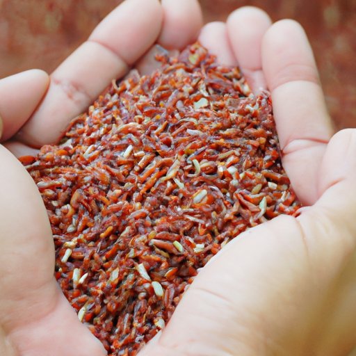 How to Source Quality Red Rice