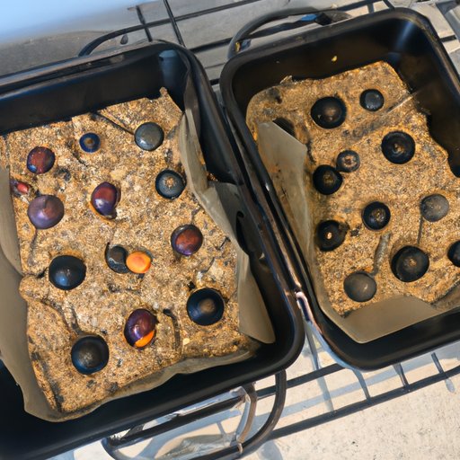 Creating Healthy Alternatives to Shake and Bake