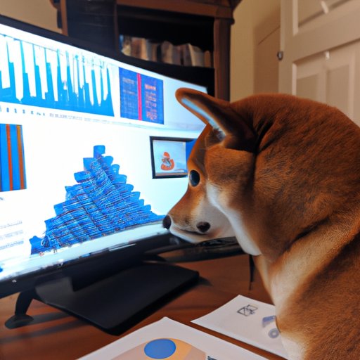 Investigating the Popularity of Shiba on Reddit