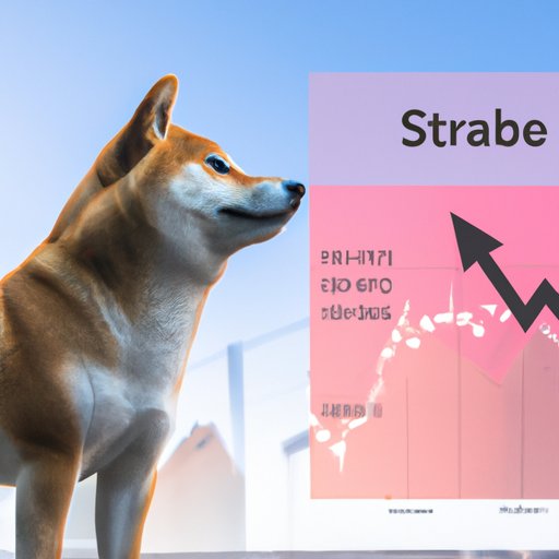 Examining the Risk Factors of Investing in Shiba