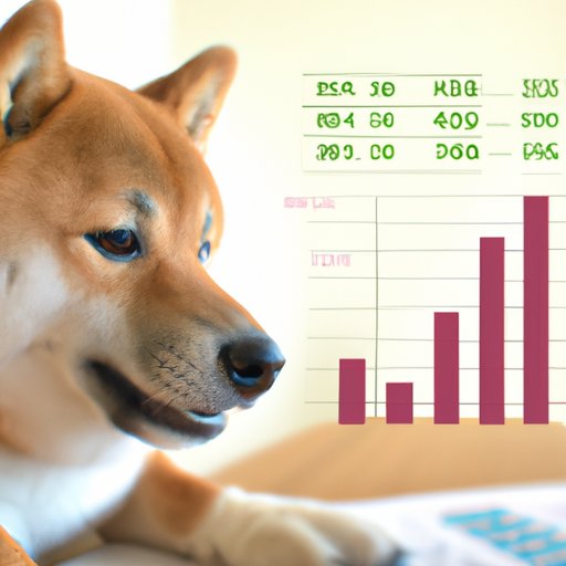 Exploring the Financial Performance of Shiba