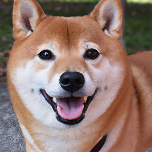 The Financial Benefits of Owning a Shiba Inu