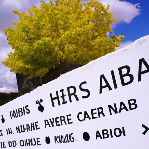 Summary of Pros and Cons of Snap Travel