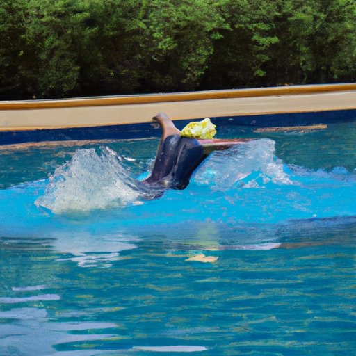 How to Get Started Swimming for Maximum Benefit