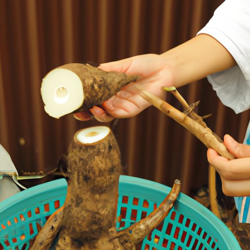 Exploring the Health Benefits of Tapioca
