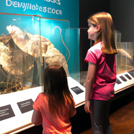 Uncovering Free Admission Days at the Museum of Natural Science
