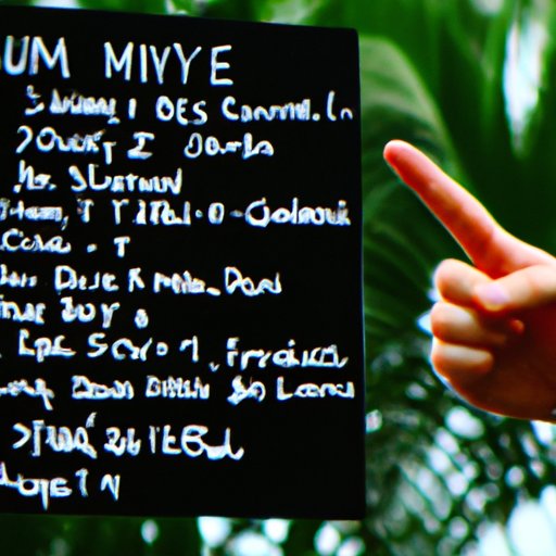 A Guide to Seeing Tommy Lee Live