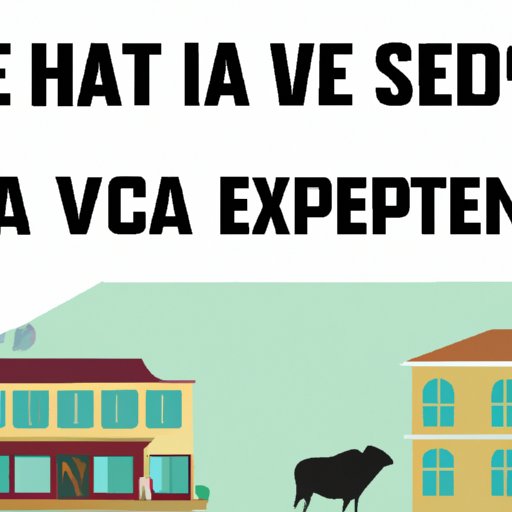 What You Need to Know Before Investing in VEA