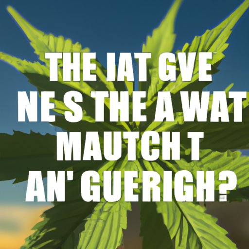 Debunking Common Myths About Cannabis Use