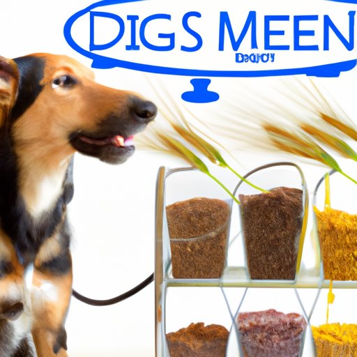 Investigating the Science Behind Grain Free Diets for Dogs