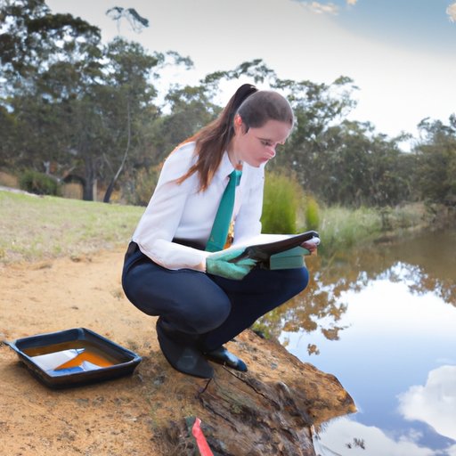 Investigating the Job Opportunities Available with an Environmental Science Degree