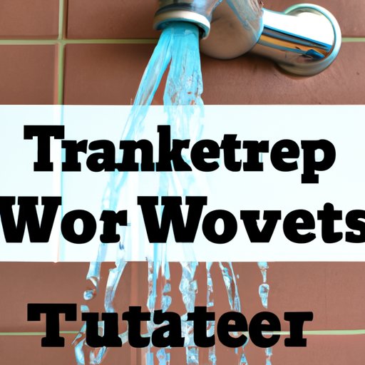 Tips for Conserving Water While Away on Vacation