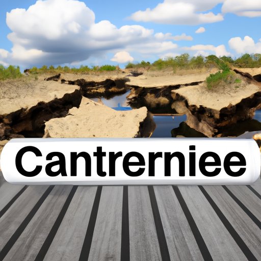 Examining the Effects of Climate Change on the Environment