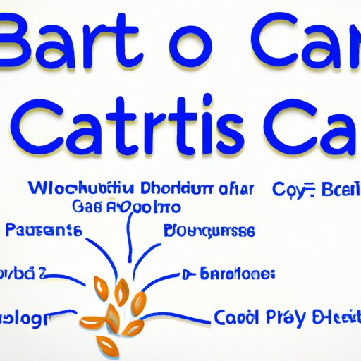 Overview of Benefits from Eating Healthy Carbs