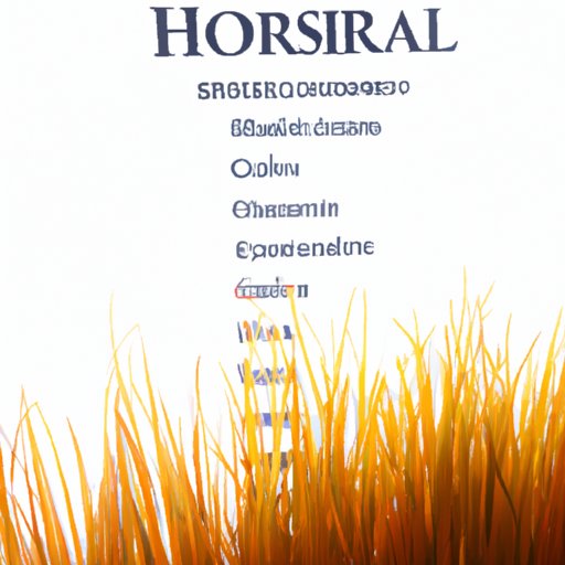 Evaluating the Best Investment Strategies for Maximizing Your Roth IRA Savings