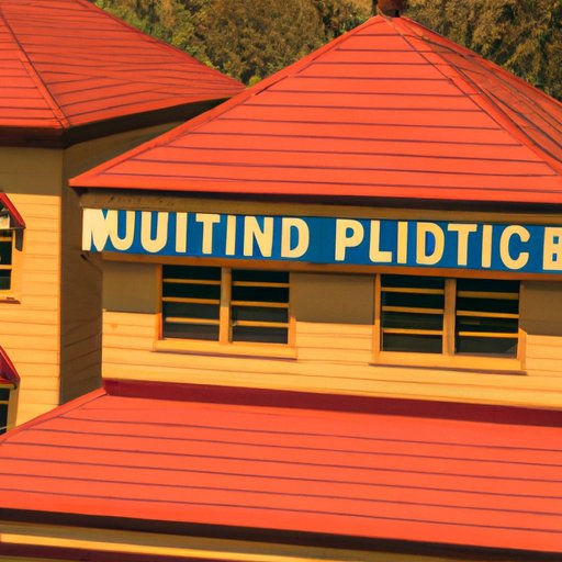 Investigating the Impact of Unfunded Mandates on Local Governments