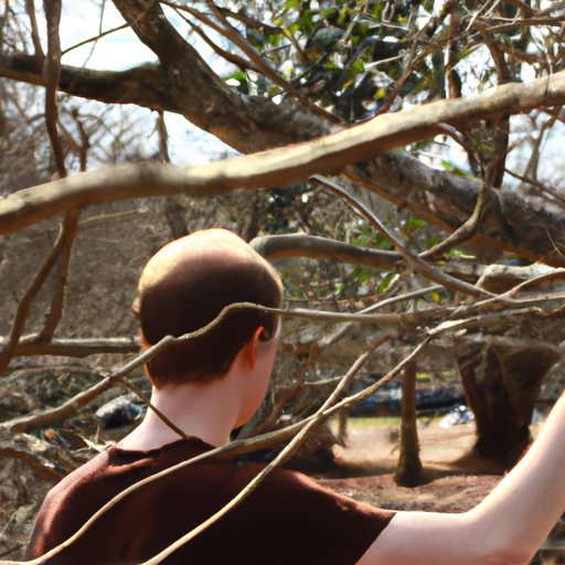 Exploring the Branches of Science