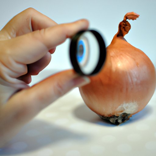 Exploring the Nutritional Value of Onions