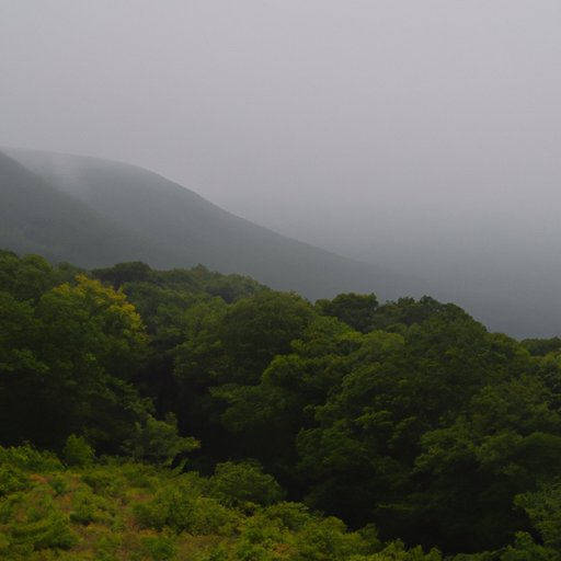 Experiencing Japanese Nature Through Hiking and Sightseeing