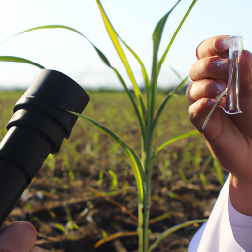 Exploring the Role of Science in Agriculture