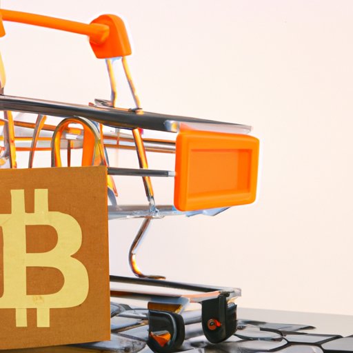 Shopping with Bitcoins: Exploring the Possibilities