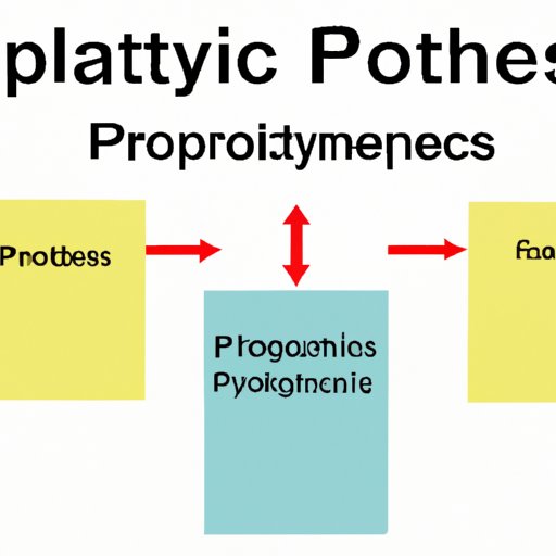Analyzing the Role of Physical Fitness in Achieving Optimal Performance