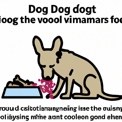 Impact of Dog Eating on Human Health and Animal Welfare