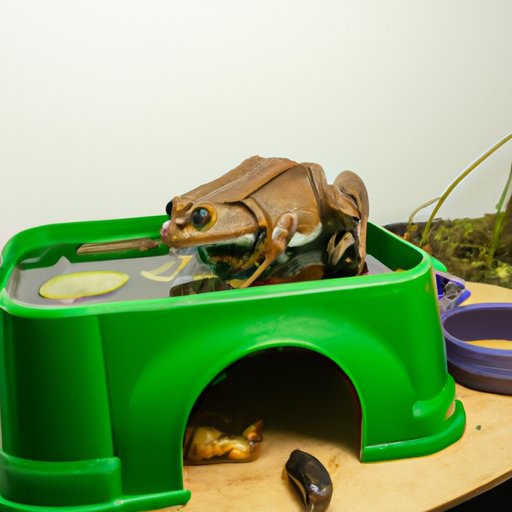 Creating an Optimal Diet for Frogs in Captivity