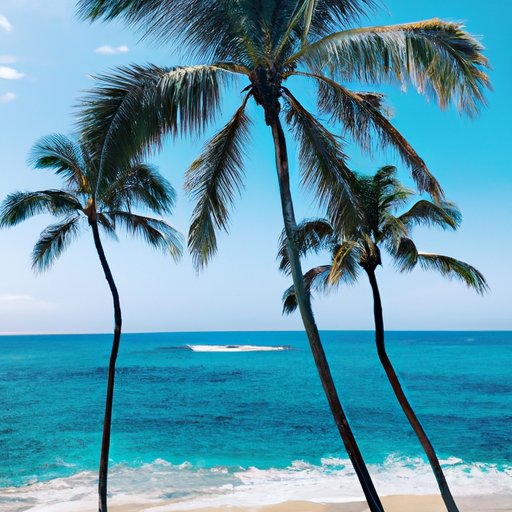 All You Need to Know About Traveling to Hawaii