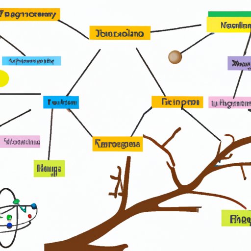 An Overview of Physical Science and Its Branches