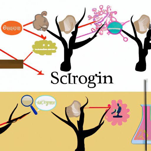 Exploring the Different Branches of Science