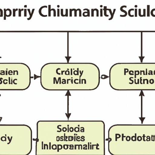 An Overview of the Supply Chain: Defining Terms and Explaining Processes