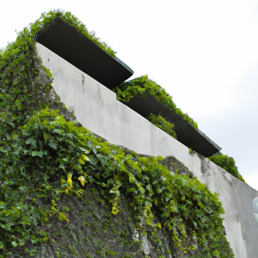 The Role of Nature in Organic Architecture