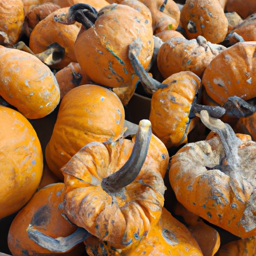 The Benefits of Eating Seasonally