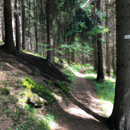 Exploring My Local Area: What I Discover During My Summer Vacation