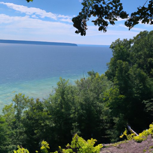 A Day in the Life of My Summer Vacation: Exploring What I Do During My Time Off