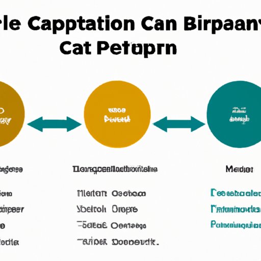 The Basics of Cryptocurrency Market Capitalization