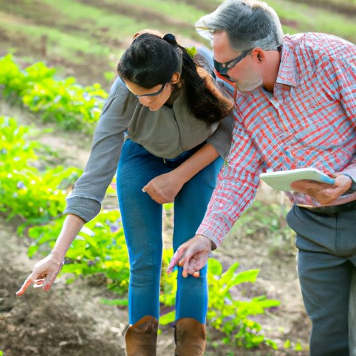 Investigating the Benefits of Sustainable Agriculture