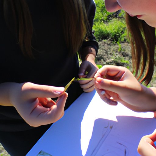 Exploring the Basics of Agriculture in Science