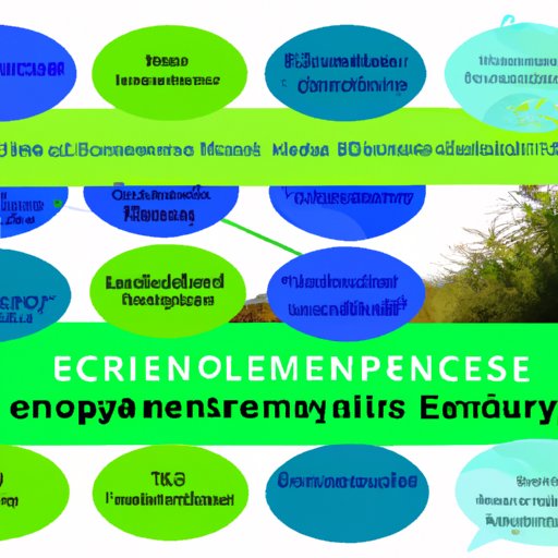 Highlighting the Contributions of Environmental Sciences to Sustainability