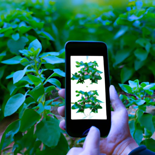 How Smartphones Are Changing the Way We Grow Crops