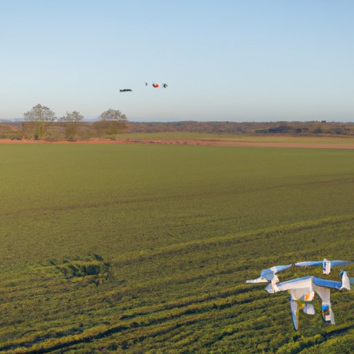 Investigating the Impact of Drone Technology on Farming Practices