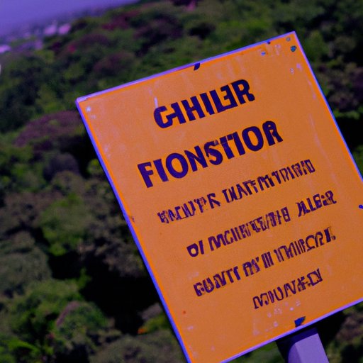 A Guide to Implementing Frontier Technology in Your Organization