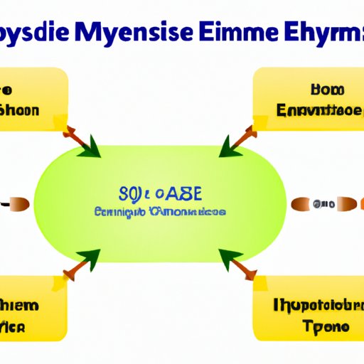 Exploring the Induced Fit of Enzymes: What It Is and Why It Matters